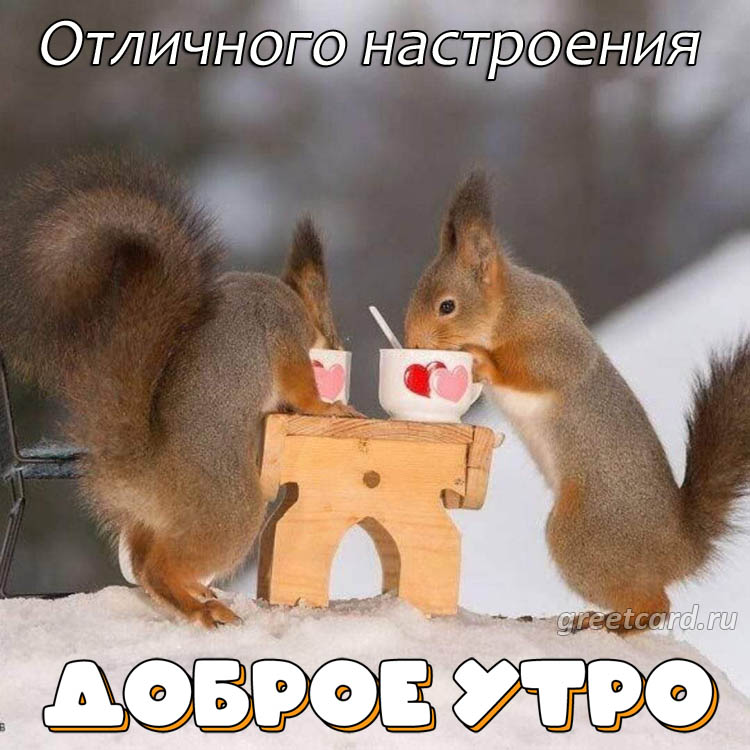 Хорошего дня красивые зимние открытки 