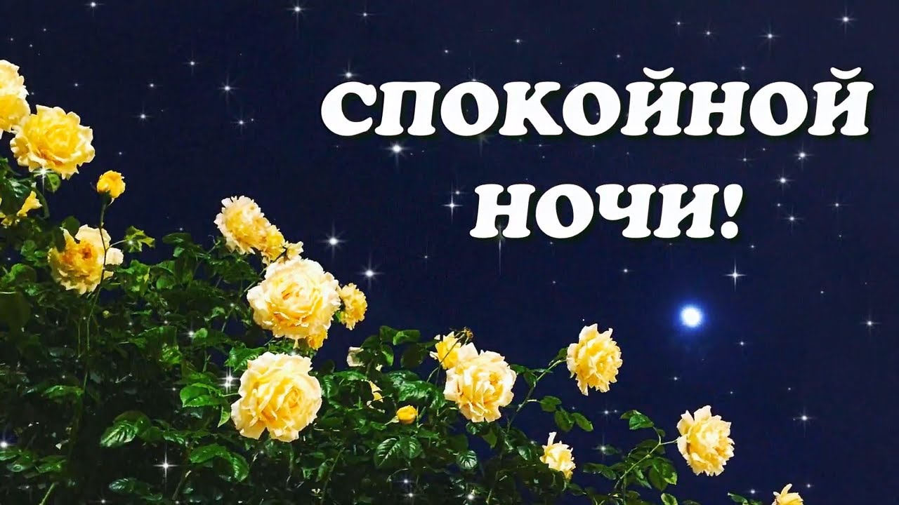 Доброй ночи!