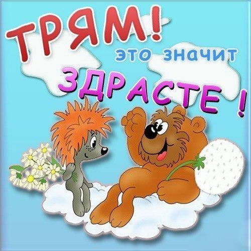 Здравствуйте