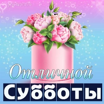 😁 #утро #позитив #суббота #солнце #хорошо #настроение #юмор