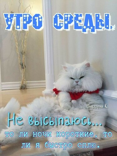 Доброе утро 