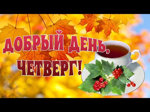 Улыбнитесь😀 Хорошего дня🎧😉 Милая собачка желает вам 