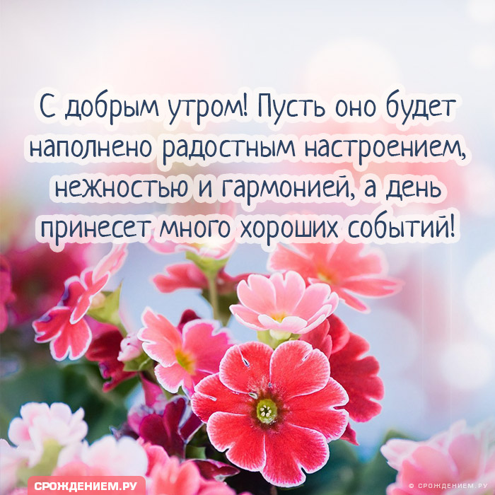 ХОЧУ, ЧТОБЫ СЧАСТЬЕ УЛЫБАЛОСЬ ВАМ 🌸🌸🌸 Друзья, С Добрым 