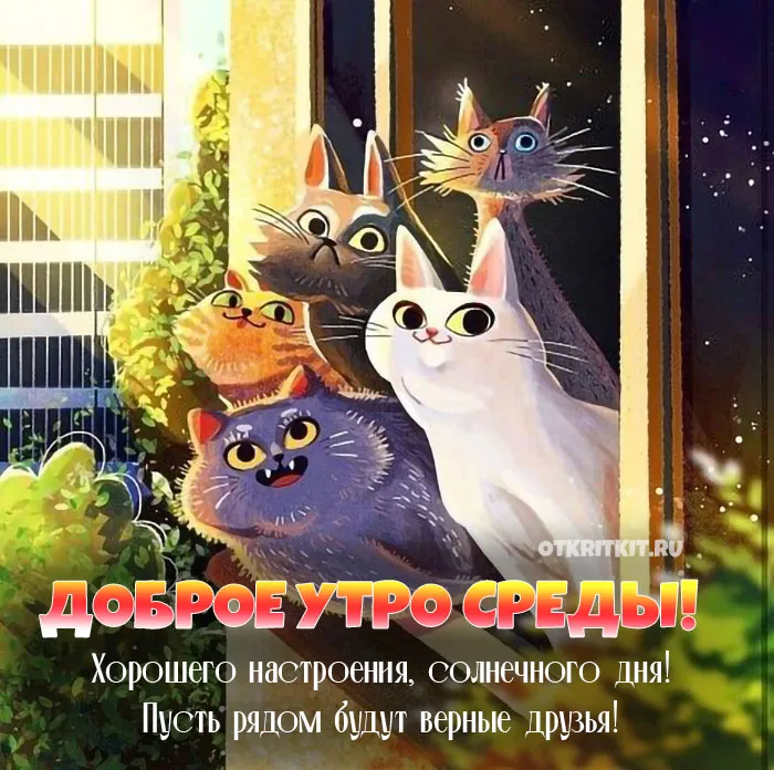 ДОБРОЕ УТРО