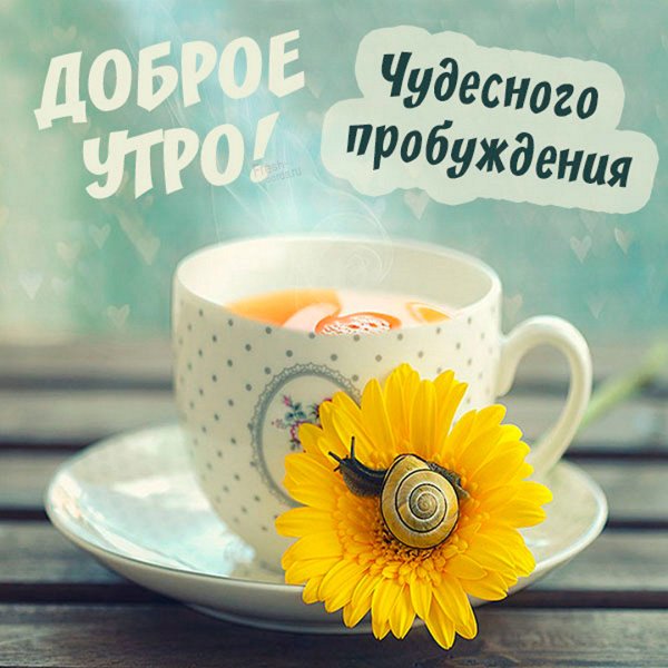 Доброе утро/Good morning