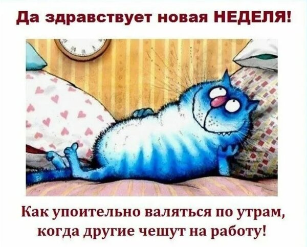 Котоматрица