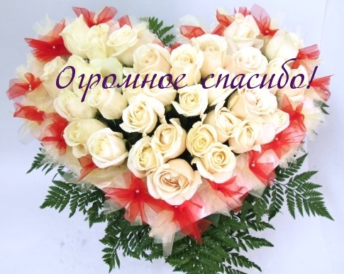 💐 #спасибо#🌹🌹🌹😘😘😘 