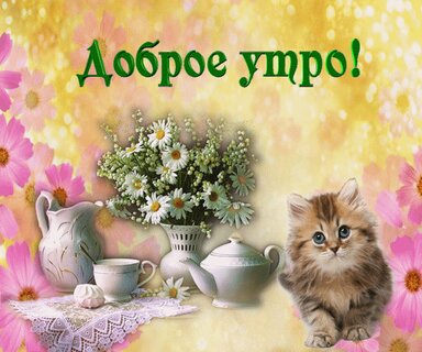 🐱 МУЗЫКАЛЬНЫЕ ОТКРЫТКИ С ЖИВОТНЫМИ 