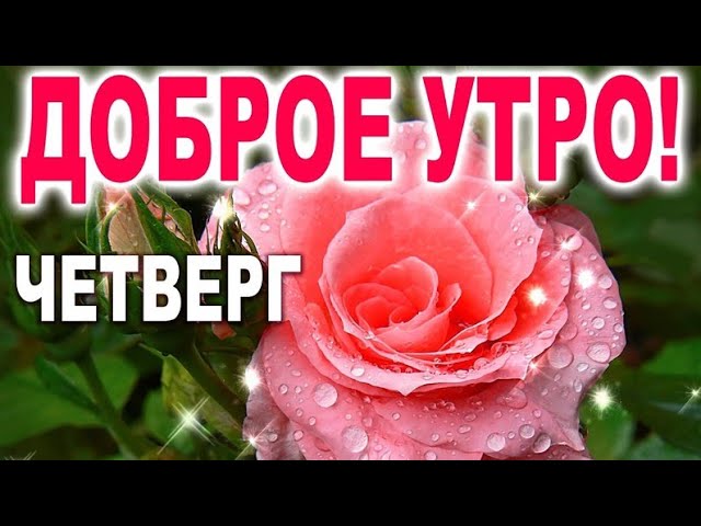 Прикольные картинки С добрым утром 