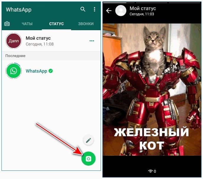 Ватсап приколы! Whatsapp prikol 