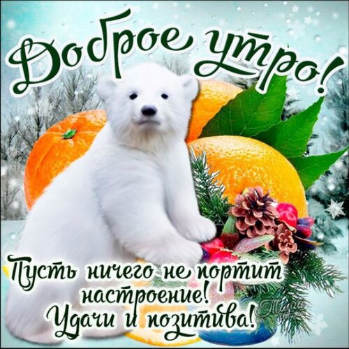 Доброе утро!