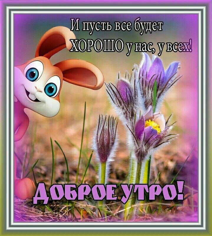 Открытка Доброе Утро!!!! 