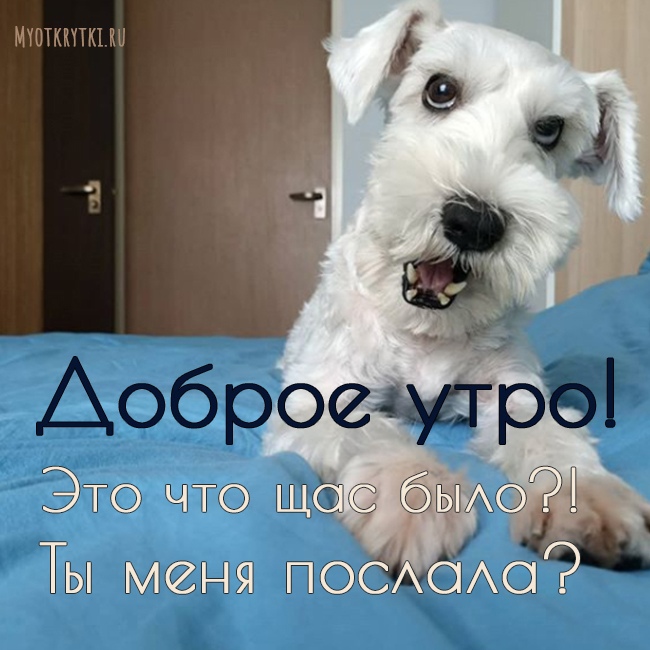 Осенние открытки доброго утра