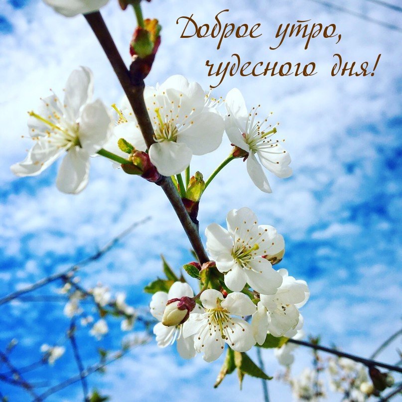 Доброго весеннего утра!