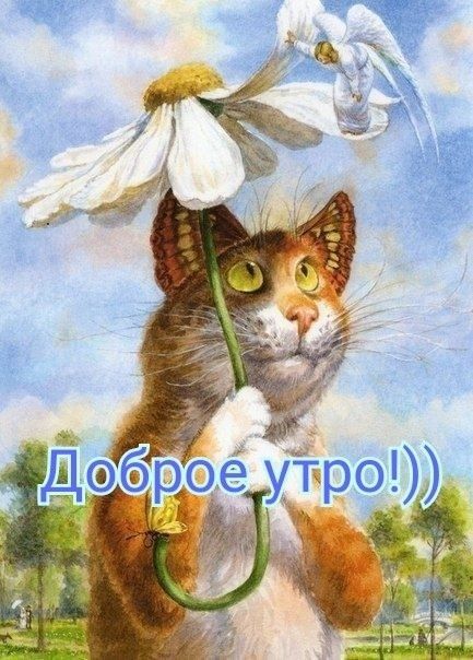 Доброе утро семья!!!♥️🐶🍒 Мы уже 