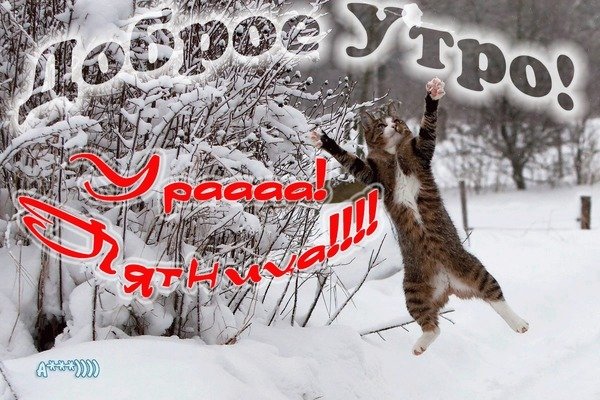 С добрым утром! Ура! Пятница 