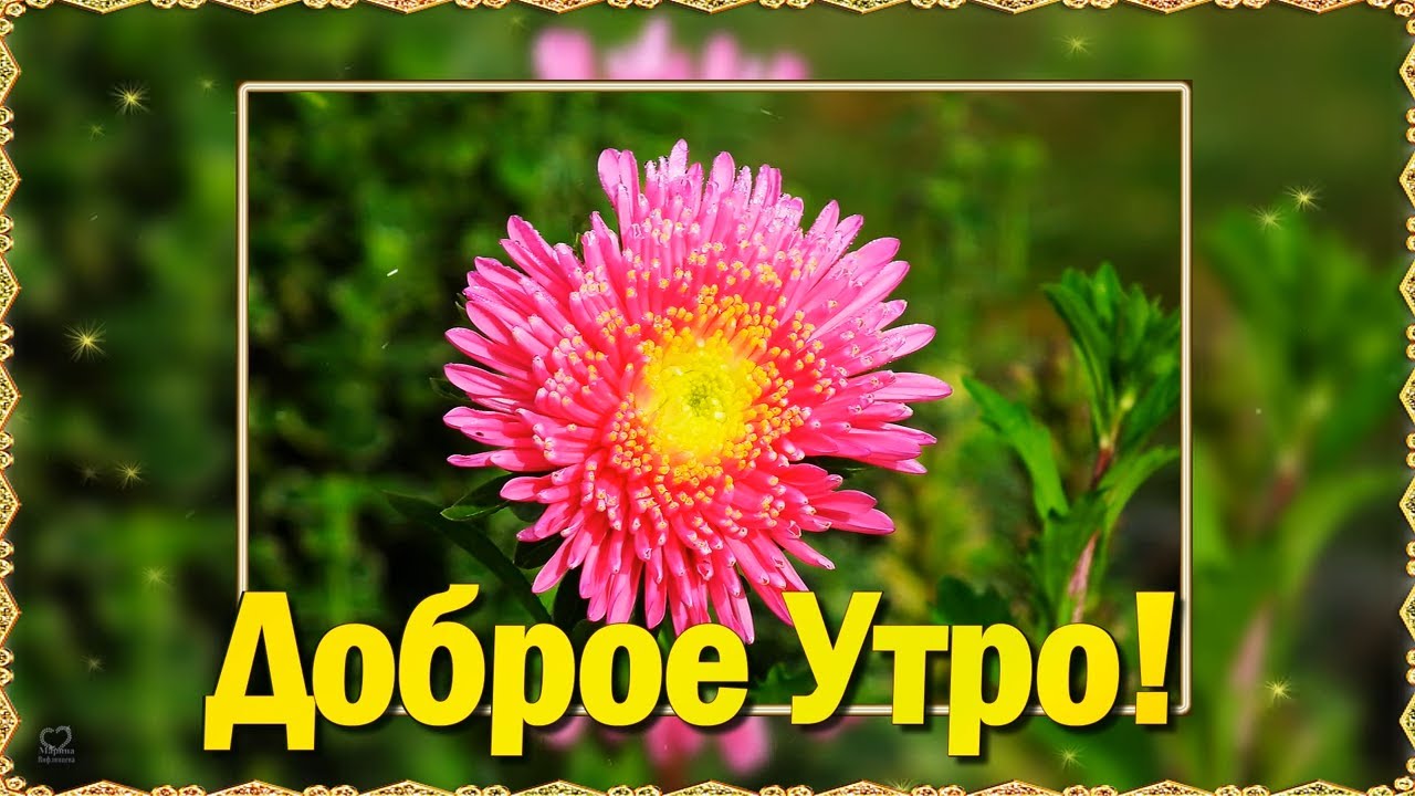 Доброе утро хорошего дня Подруга 