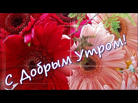 Картинка Доброе утро августа 