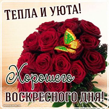 Доброе воскресное утро! Отличного 