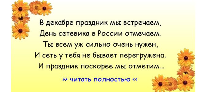 День сетевика в России, Важный 