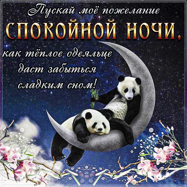 Спокойной ночи! Добрых снов! Спокойной ночи