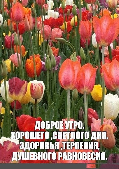 Вдохновение ДУШИ