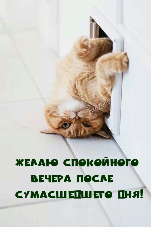 Открытка для тебя 