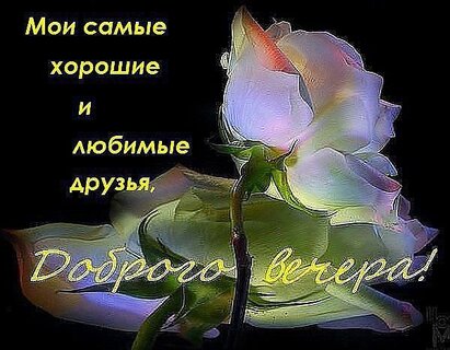 🌹Добрый вечер! 🌙 